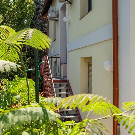 Tánczos * Balatonalmádi